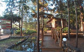 Lodge Terra Mar